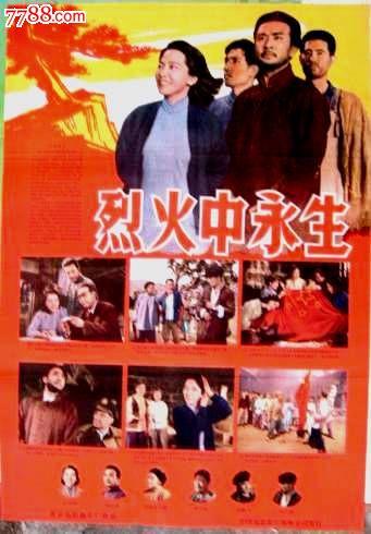 学历证书报告编号如何获得